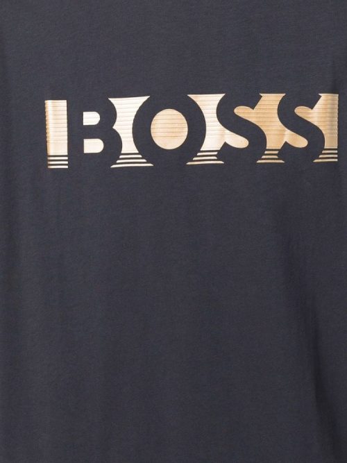 Boss15 e9739449 2c49 41d0 af8f b86262dc99a6